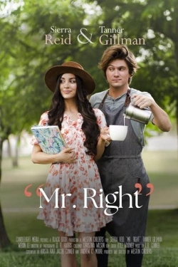 Watch free Mr. Right Movies