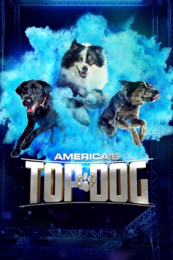 Watch free America's Top Dog Movies