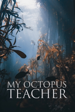 Watch free My Octopus Teacher Movies
