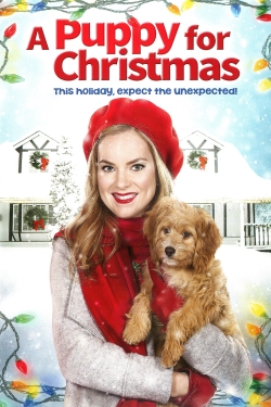 Watch free A Puppy for Christmas Movies