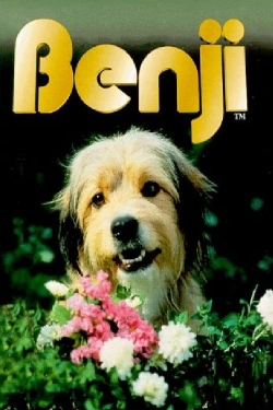 Watch free Benji Movies