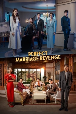 Watch free Perfect Marriage Revenge Movies