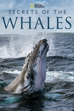 Watch free Secrets of the Whales Movies
