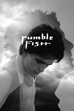 Watch free Rumble Fish Movies