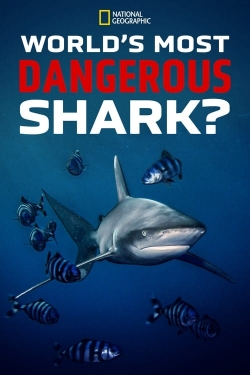 Watch free World's Most Dangerous Shark? Movies