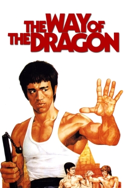 Watch free The Way of the Dragon Movies