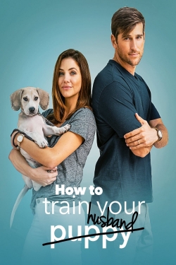 Watch free How to Train Your Husband Movies