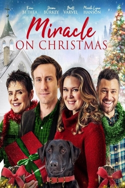 Watch free Miracle on Christmas Movies