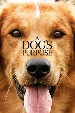 Watch free A Dog's Purpose Movies