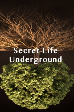 Watch free Secret Life Underground Movies