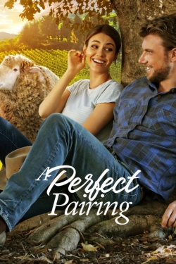 Watch free A Perfect Pairing Movies