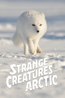 Watch free Strange Creatures of the Arctic Movies