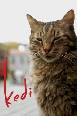 Watch free Kedi Movies