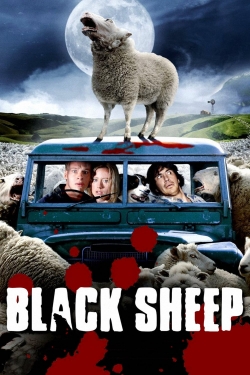 Watch free Black Sheep Movies