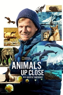 Watch free Animals Up Close with Bertie Gregory Movies