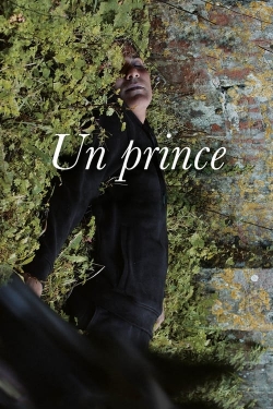 Watch free A Prince Movies
