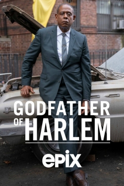 Watch free Godfather of Harlem Movies