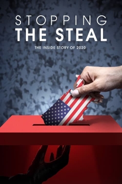 Watch free Stopping the Steal Movies