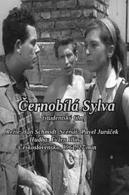 Watch free Black and White Sylva Movies