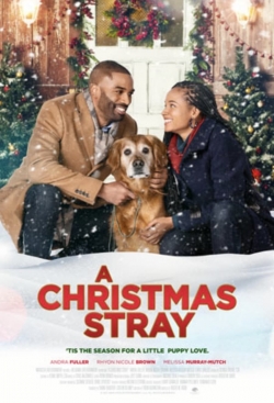 Watch free A Christmas Stray Movies