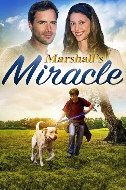 Watch free Marshall's Miracle Movies