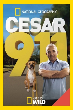 Watch free Cesar 911 Movies