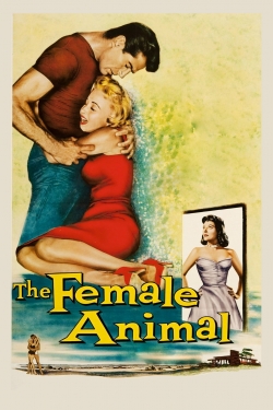 Watch free The Female Animal Movies