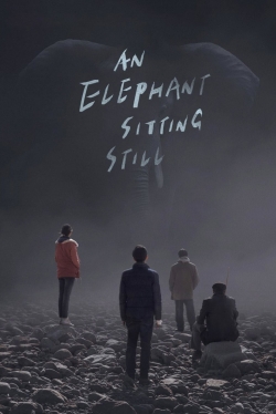 Watch free An Elephant Sitting Still Movies
