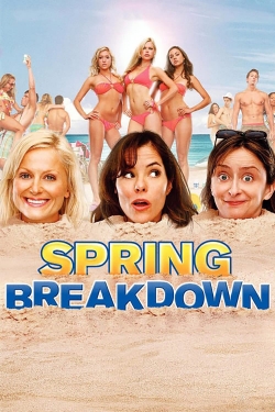 Watch free Spring Breakdown Movies