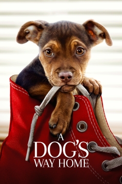 Watch free A Dog's Way Home Movies