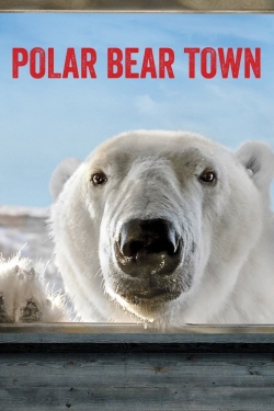 Watch free Polar Bear Town Movies