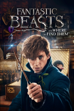 Watch free Fantastic Beasts and Where to Find Them Movies
