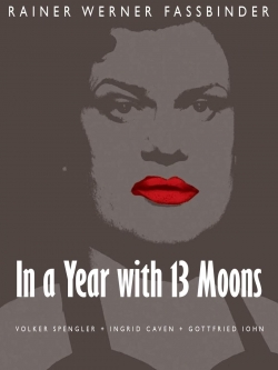 Watch free In a Year with 13 Moons Movies