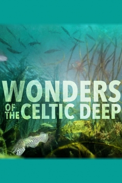 Watch free Wonders of the Celtic Deep Movies