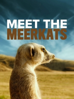 Watch free Meet The Meerkats Movies