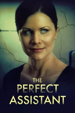 Watch free The Perfect Assistant Movies