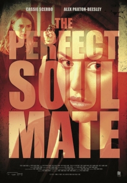 Watch free The Perfect Soulmate Movies