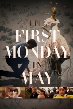 Watch free The First Monday in May Movies