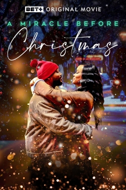 Watch free A Miracle Before Christmas Movies