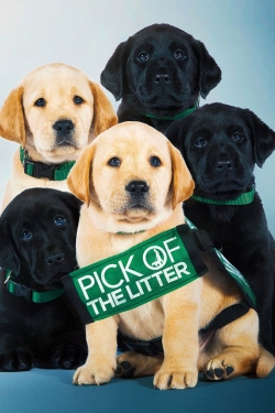 Watch free Pick of the Litter Movies