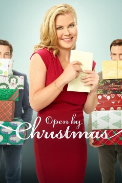 Watch free Open by Christmas Movies
