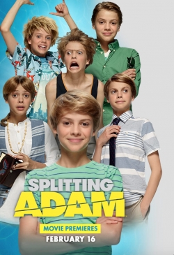 Watch free Splitting Adam Movies